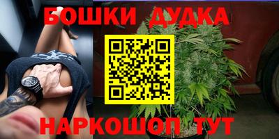 МДПВ Лесосибирск