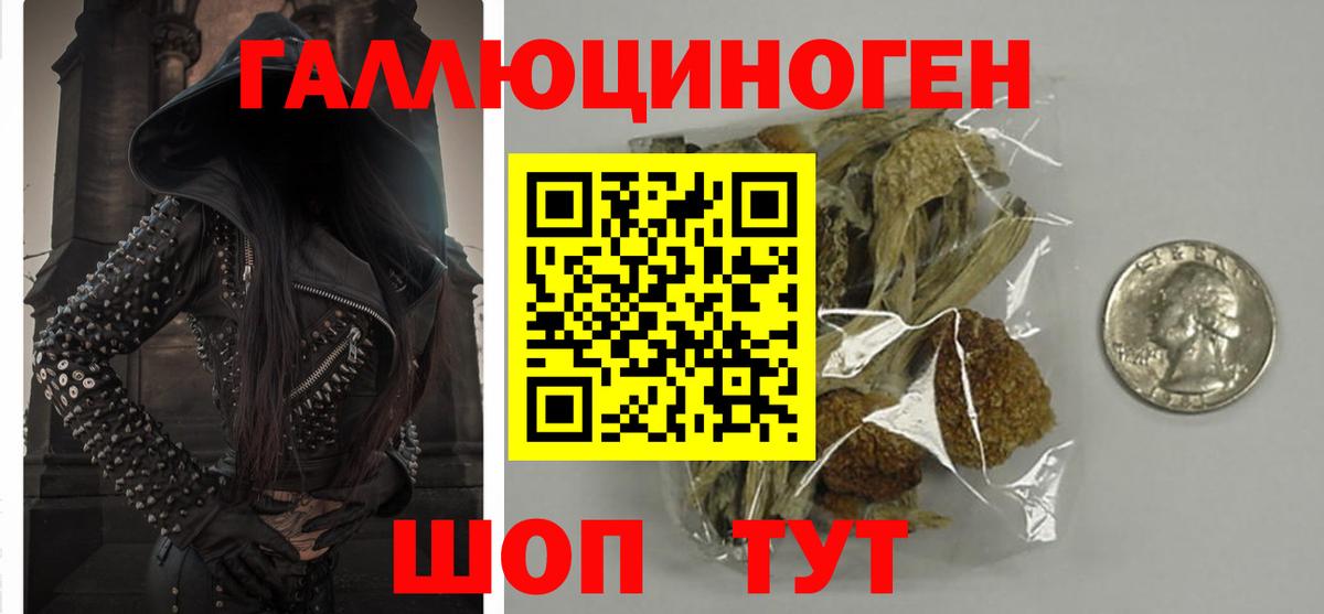 Галлюциногенные грибы Psilocybine cubensis Учалы